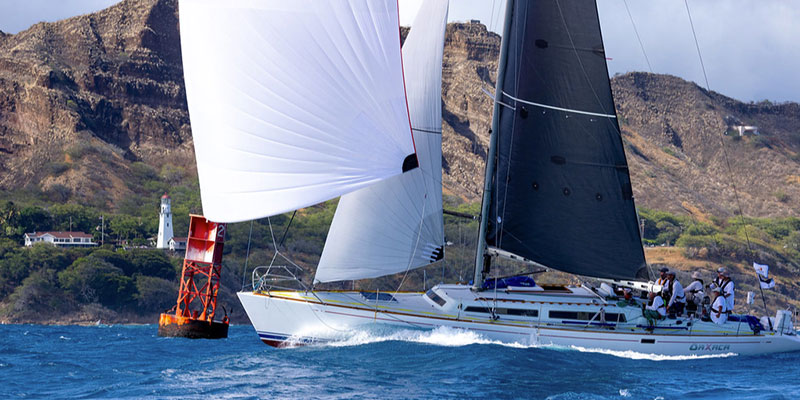 sailboat race from california to hawaii